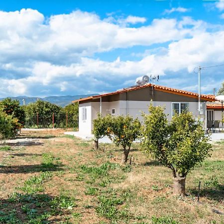 Angela Apartment Dalamanara Dış mekan fotoğraf