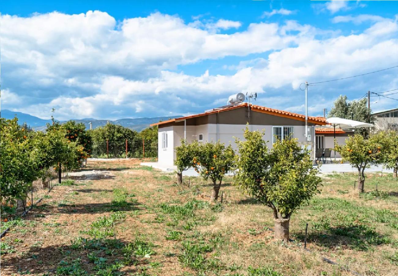 Angela Apartment Dalamanara Dış mekan fotoğraf