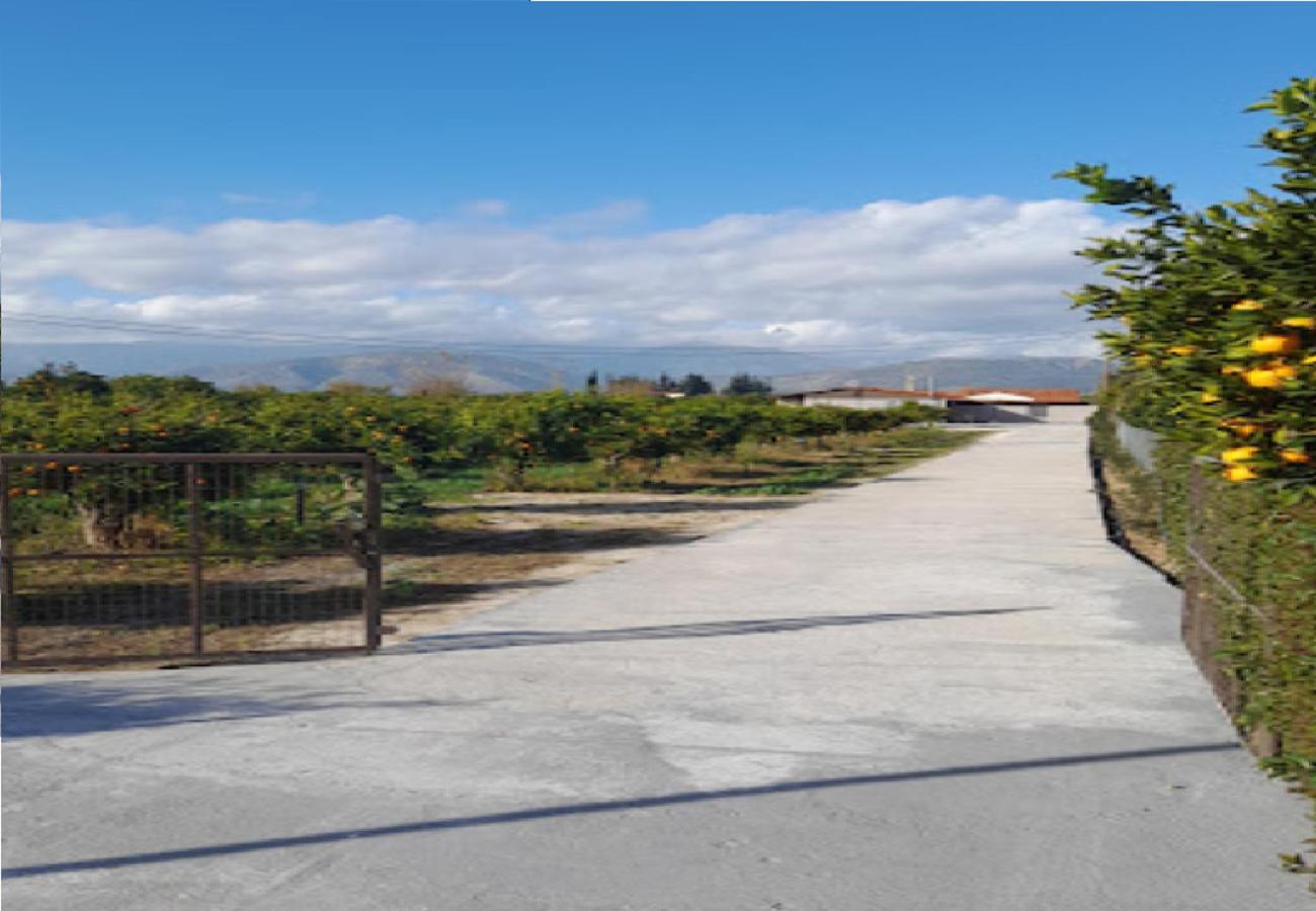 Angela Apartment Dalamanara Dış mekan fotoğraf